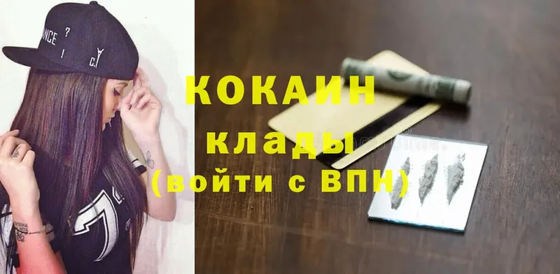 Cocaine FishScale  как найти наркотики  Берёзовский 