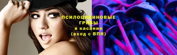 винт Приозерск